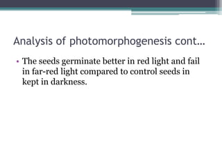 Analysis of photomorphogenesis cont…
• The seeds germinate better in red light and fail
in far-red light compared to control seeds in
kept in darkness.
 