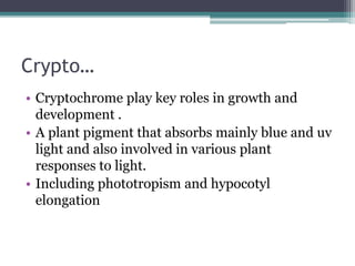 Crypto…
• Cryptochrome play key roles in growth and
development .
• A plant pigment that absorbs mainly blue and uv
light and also involved in various plant
responses to light.
• Including phototropism and hypocotyl
elongation
 