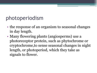 photoperiodism
• the response of an organism to seasonal changes
in day length.
• Many flowering plants (angiosperms) use a
photoreceptor protein, such as phytochrome or
cryptochrome,to sense seasonal changes in night
length, or photoperiod, which they take as
signals to flower.
 