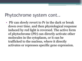 Phytochrome system cont..
• Pfr can slowly revert to Pr in the dark or break
down over time. and then physiological response
induced by red light is reversed. The active form
of phytochrome (Pfr) can directly activate other
molecules in the cytoplasm, or it can be
trafficked to the nucleus, where it directly
activates or represses specific gene expression.
 
