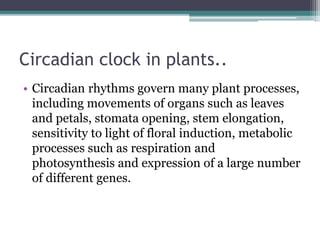 Circadian clock in plants..
• Circadian rhythms govern many plant processes,
including movements of organs such as leaves
and petals, stomata opening, stem elongation,
sensitivity to light of floral induction, metabolic
processes such as respiration and
photosynthesis and expression of a large number
of different genes.
 