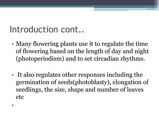 Introduction cont..
• Many flowering plants use it to regulate the time
of flowering based on the length of day and night
(photoperiodism) and to set circadian rhythms.
• It also regulates other responses including the
germination of seeds(photoblasty), elongation of
seedlings, the size, shape and number of leaves
etc
•
 