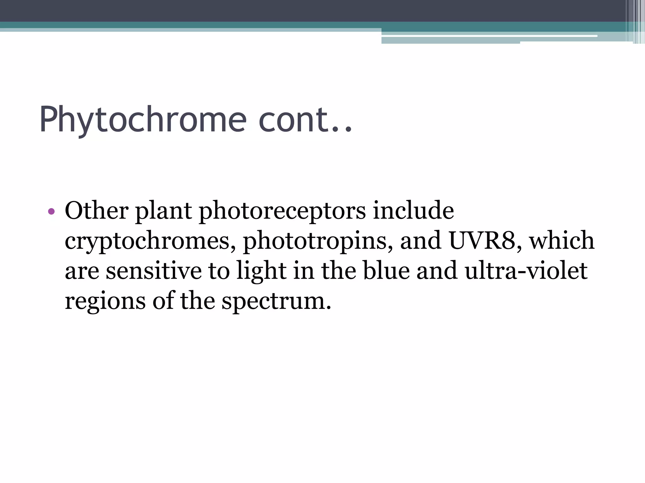 Phytochrome cont..
• Other plant photoreceptors include
cryptochromes, phototropins, and UVR8, which
are sensitive to light in the blue and ultra-violet
regions of the spectrum.
 
