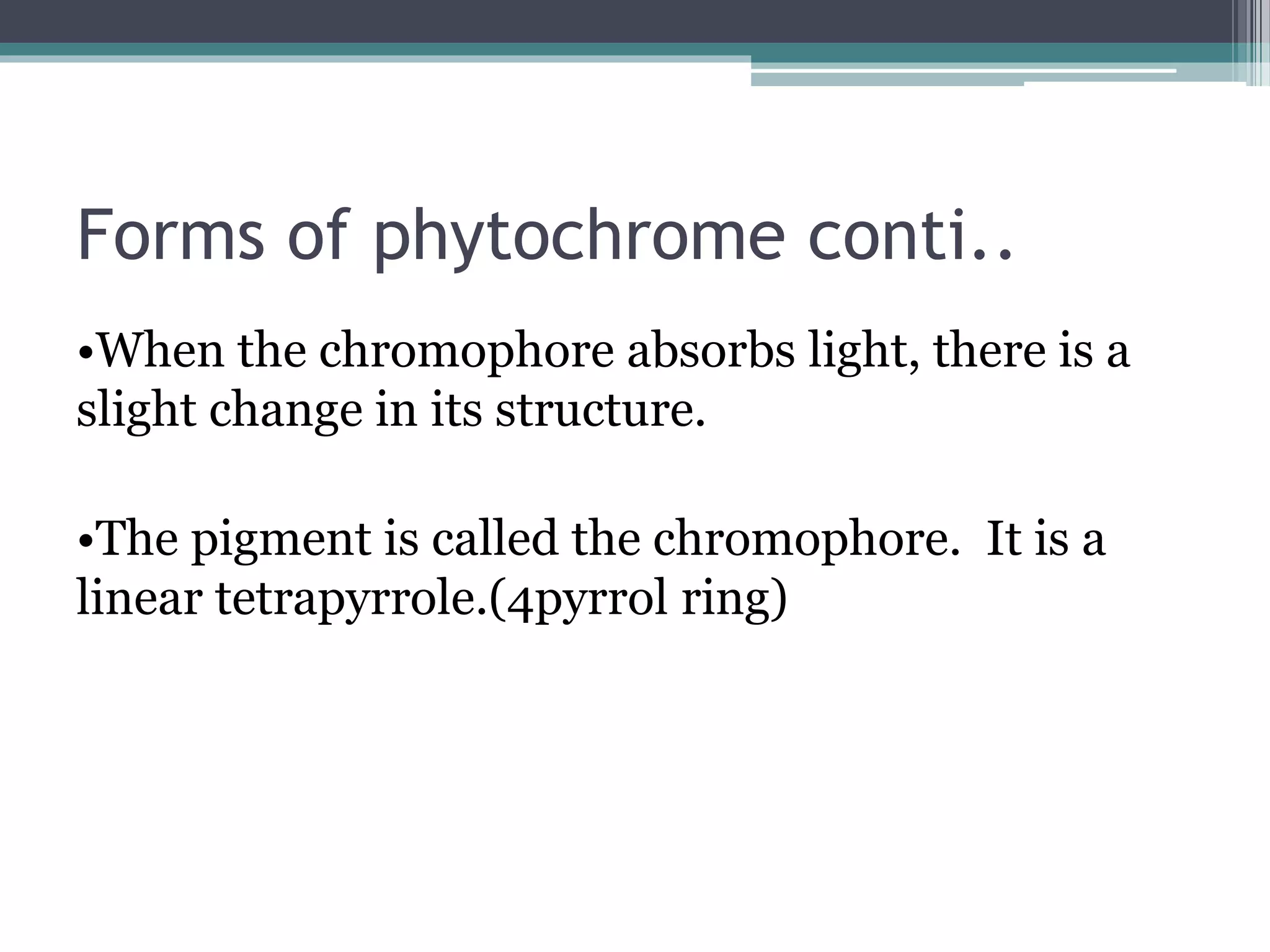 Forms of phytochrome conti..
•When the chromophore absorbs light, there is a
slight change in its structure.
•The pigment is called the chromophore. It is a
linear tetrapyrrole.(4pyrrol ring)
 