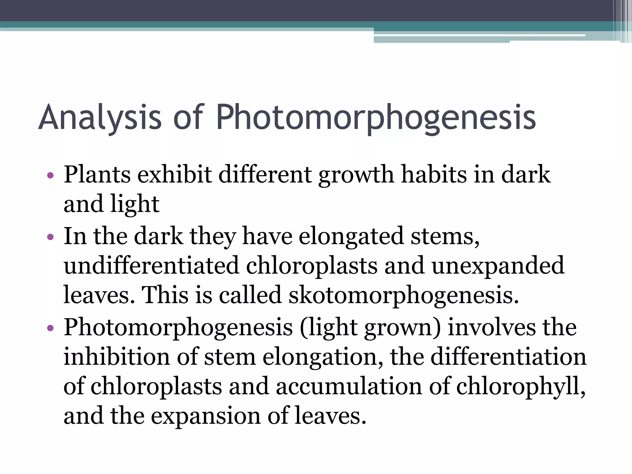 Analysis of Photomorphogenesis
• Plants exhibit different growth habits in dark
and light
• In the dark they have elongated stems,
undifferentiated chloroplasts and unexpanded
leaves. This is called skotomorphogenesis.
• Photomorphogenesis (light grown) involves the
inhibition of stem elongation, the differentiation
of chloroplasts and accumulation of chlorophyll,
and the expansion of leaves.
 