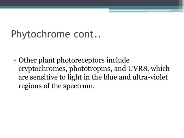 phytochrome full notes ppt phytochrome full notes ppt