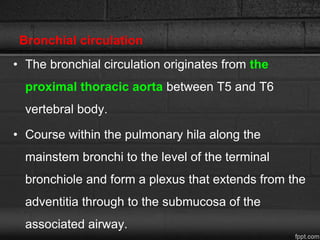 Bronchial circulation
• The bronchial circulation originates from the
proximal thoracic aorta between T5 and T6
vertebral body.
• Course within the pulmonary hila along the
mainstem bronchi to the level of the terminal
bronchiole and form a plexus that extends from the
adventitia through to the submucosa of the
associated airway.
 
