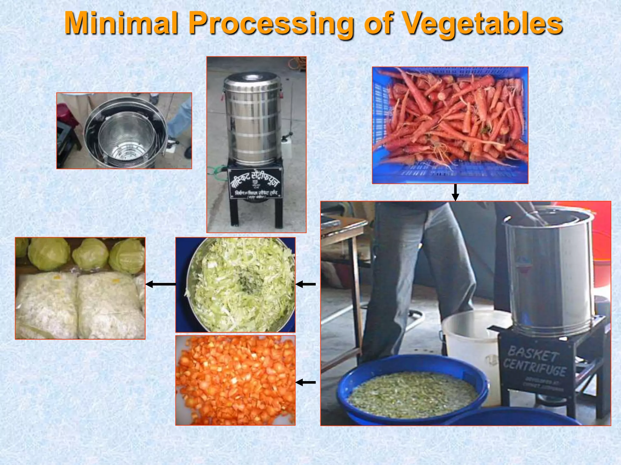 Minimal Processing of Vegetables 
 