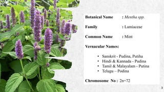 MINT - PHT & Value Addition | PPTX