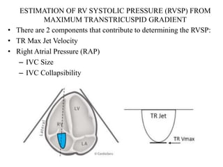 Normal Range Rvspecho PHT ECHO.pptx