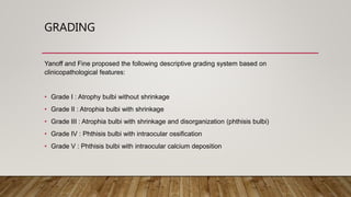 GRADING
Yanoff and Fine proposed the following descriptive grading system based on
clinicopathological features:
• Grade I : Atrophy bulbi without shrinkage
• Grade II : Atrophia bulbi with shrinkage
• Grade III : Atrophia bulbi with shrinkage and disorganization (phthisis bulbi)
• Grade IV : Phthisis bulbi with intraocular ossification
• Grade V : Phthisis bulbi with intraocular calcium deposition
 