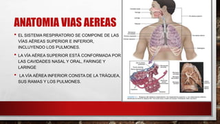 ANATOMIA VIAS AEREAS
• EL SISTEMA RESPIRATORIO SE COMPONE DE LAS
VÍAS AÉREAS SUPERIOR E INFERIOR,
INCLUYENDO LOS PULMONES.
• LA VÍA AÉREA SUPERIOR ESTÁ CONFORMADA POR
LAS CAVIDADES NASAL Y ORAL, FARINGE Y
LARINGE
• LA VÍA AÉREA INFERIOR CONSTA DE LA TRÁQUEA,
SUS RAMAS Y LOS PULMONES.
 