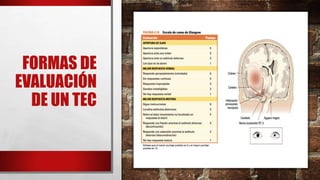 FORMAS DE
EVALUACIÓN
DE UN TEC
 
