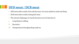 Post Harvest Physiology and Biochemical Technology of Meat | PDF