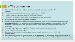Comprehensive Overview of Postharvest Meat Physiology and Quality | PDF