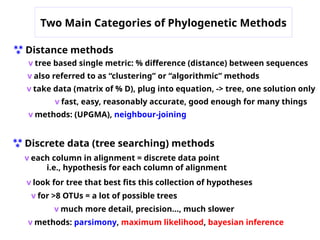 Phtogenetics ppt for basics understanding | PPT