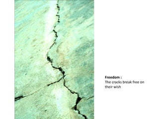 Freedom :  The cracks break free on their wish 