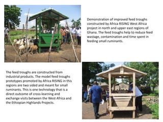 Demonstration of improved feed troughs
constructed by Africa RISING West Africa
project in north and upper east regions of...