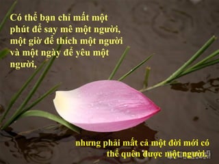 Có thể bạn chỉ mất một
phút để say mê một người,
một giờ để thích một người
và một ngày để yêu một
người,




               nhưng phải mất cả một đời mới có
                      thể quên được một người.
 