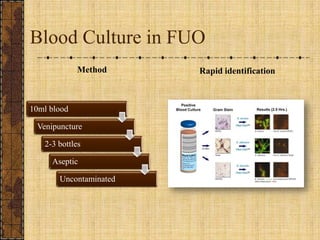 Blood Culture in FUOMethodRapid identification