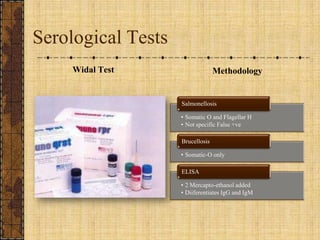 Serological TestsWidal TestMethodology