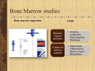 Bone Marrow studiesBone marrow aspirationYields