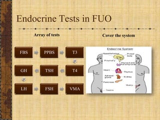 Endocrine Tests in FUOArray of testsCover the system