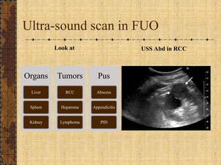 Ultra-sound scan in FUO<br />Look at<br />USS Abd in RCC<br />