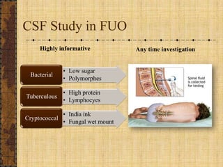 CSF Study in FUO<br />Highly informative<br />Any time investigation<br />