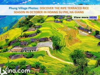 Phung Village Photos: DISCOVER THE RIPE TERRACED RICE
SEASON IN OCTOBER IN HOANG SU PHI, HA GIANG
View more HERE
 