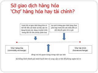 Sở giao dịch hàng hóa
‘Chợ’ hàng hóa hay tài chính?
 