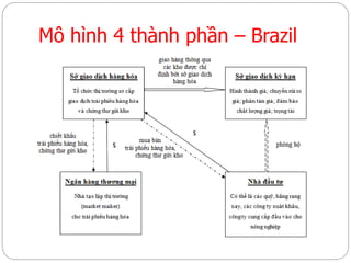 Mô hình 4 thành phần – Brazil
 