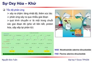 Sự Oxy Hóa – Khử
 Tốc độ phản ứng
 xảy ra chậm: tăng nhiệt độ, thêm xúc tác
 phản ứng xảy ra qua nhiều giai đoạn
 quá trình chuyển e- là một trong chuỗi
các giai đoạn đó (phá vỡ liên kết, proton
hóa, sắp xếp lại phân tử)
Đại học Y Dược TPHCM
NAD: Nicotinamide adenine dinucleotide
FAD: Flavine adenine dinucleotide
Nguyễn Đức Tuấn
 