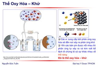 Thế Oxy Hóa – Khử
Đại học Y Dược TPHCM
http://cwx.prenhall.com/bookbind/pubbooks/hillchem3/medialib/media_portfolio/text
_images/CH18/FG18_06.JPG
 Các e- cung cấp bởi phản ứng oxy
hóa sẽ đến nơi xảy ra phản ứng khử
 Khi các bán pin được nối nhau thì
phản ứng tự xảy ra và kim volt kế
lệch đi chứng tỏ có sự khác nhau về
thế năng
Đó là thế oxy hóa – khử
Nguyễn Đức Tuấn
 