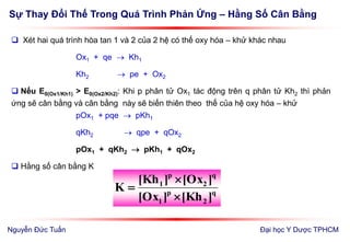 Sự Thay Đổi Thế Trong Quá Trình Phản Ứng – Hằng Số Cân Bằng
Đại học Y Dược TPHCM
 Xét hai quá trình hòa tan 1 và 2 của 2 hệ có thế oxy hóa – khử khác nhau
Ox1 + qe  Kh1
Kh2  pe + Ox2
 Nếu E0(Ox1/Kh1) > E0(Ox2/Kh2): Khi p phân tử Ox1 tác động trên q phân tử Kh2 thì phản
ứng sẽ cân bằng và cân bằng này sẽ biến thiên theo thế của hệ oxy hóa – khử
pOx1 + pqe  pKh1
qKh2  qpe + qOx2
pOx1 + qKh2  pKh1 + qOx2
 Hằng số cân bằng K
q
2
p
1
q
2
p
1
]Kh[]Ox[
]Ox[]Kh[
K



Nguyễn Đức Tuấn
 