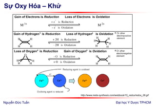 Sự Oxy Hóa – Khử
Đại học Y Dược TPHCM
http://www.meta-synthesis.com/webbook/15_redox/redox_06.gif
Nguyễn Đức Tuấn
 