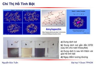 Chỉ Thị Hồ Tinh Bột
Đại học Y Dược TPHCM
a) Dung dịch iod
b) Dung dịch iod gần đến ĐTĐ
(sau khi cho natri thiosulfat)
c) Dung dịch b sau khi thêm vài
giọt hồ tinh bột
d) Ngay điểm tương đương
http://www.elmhurst.edu/~chm/vche
mbook/548starchiodine.html
Amylopectin
a b c d
Nguyễn Đức Tuấn
 