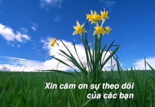 Xin caùm ôn söï theo doõi
cuûa caùc baïn
 