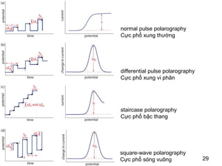 29
29
normal pulse polarography
Cực phổ xung thường
differential pulse polarography
Cực phổ xung vi phân
staircase polarography
Cực phổ bậc thang
square-wave polarography
Cực phổ sóng vuông
 