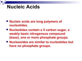 Nucleic Acids 
 Nucleic acids are long polymers of 
nucleotides. 
 Nucleotides contain a 5 carbon sugar, a 
weakly basic nitrogenous compound 
(base), one or more phosphate groups. 
 Nucleosides are similar to nucleotides but 
have no phosphate groups. 
 