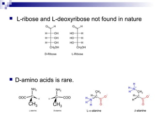  L-ribose and L-deoxyribose not found in nature 
 D-amino acids is rare. 
 