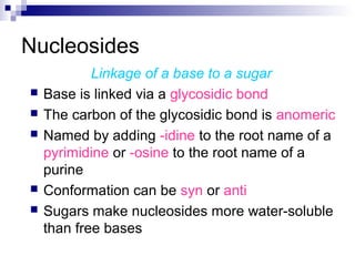 Nucleosides 
Linkage of a base to a sugar 
 Base is linked via a glycosidic bond 
 The carbon of the glycosidic bond is anomeric 
 Named by adding -idine to the root name of a 
pyrimidine or -osine to the root name of a 
purine 
 Conformation can be syn or anti 
 Sugars make nucleosides more water-soluble 
than free bases 
 