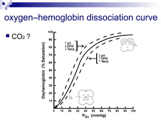 oxygen–hemoglobin dissociation curve 
 CO2 ? 
 