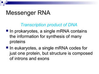 Messenger RNA 
Transcription product of DNA 
 In prokaryotes, a single mRNA contains 
the information for synthesis of many 
proteins 
 In eukaryotes, a single mRNA codes for 
just one protein, but structure is composed 
of introns and exons 
 