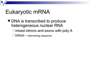 Eukaryotic mRNA 
 DNA is transcribed to produce 
heterogeneous nuclear RNA 
mixed introns and exons with poly A 
intron - intervening sequence 
 