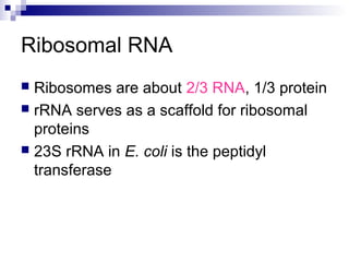 Ribosomal RNA 
 Ribosomes are about 2/3 RNA, 1/3 protein 
 rRNA serves as a scaffold for ribosomal 
proteins 
 23S rRNA in E. coli is the peptidyl 
transferase 
 