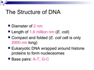The Structure of DNA 
 Diameter of 2 nm 
 Length of 1.6 million nm (E. coli) 
 Compact and folded (E. coli cell is only 
2000 nm long) 
 Eukaryotic DNA wrapped around histone 
proteins to form nucleosomes 
 Base pairs: A-T, G-C 
 