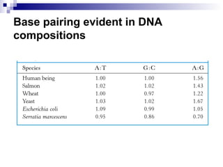 Base pairing evident in DNA 
compositions 
 