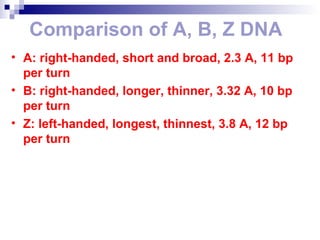 Comparison of A, B, Z DNA 
• A: right-handed, short and broad, 2.3 A, 11 bp 
per turn 
• B: right-handed, longer, thinner, 3.32 A, 10 bp 
per turn 
• Z: left-handed, longest, thinnest, 3.8 A, 12 bp 
per turn 
 