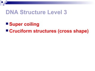 DNA Structure Level 3 
 Super coiling 
 Cruciform structures (cross shape) 
 